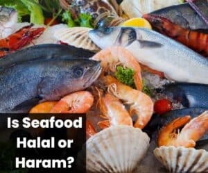 Is Seafood Halal or Haram?