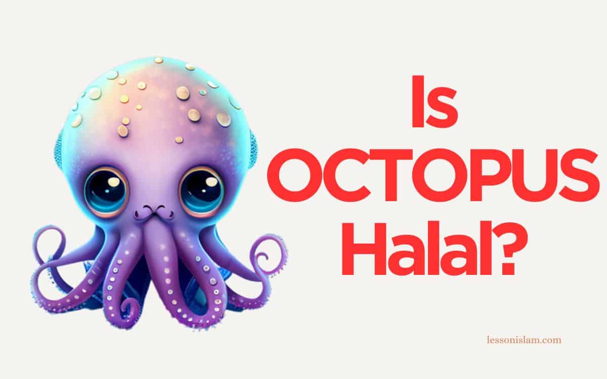 Is Octopus Halal or Haram?