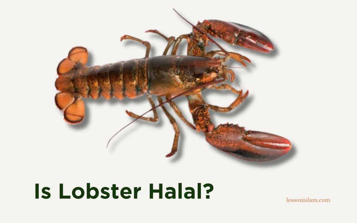 Is Lobster Halal or Haram