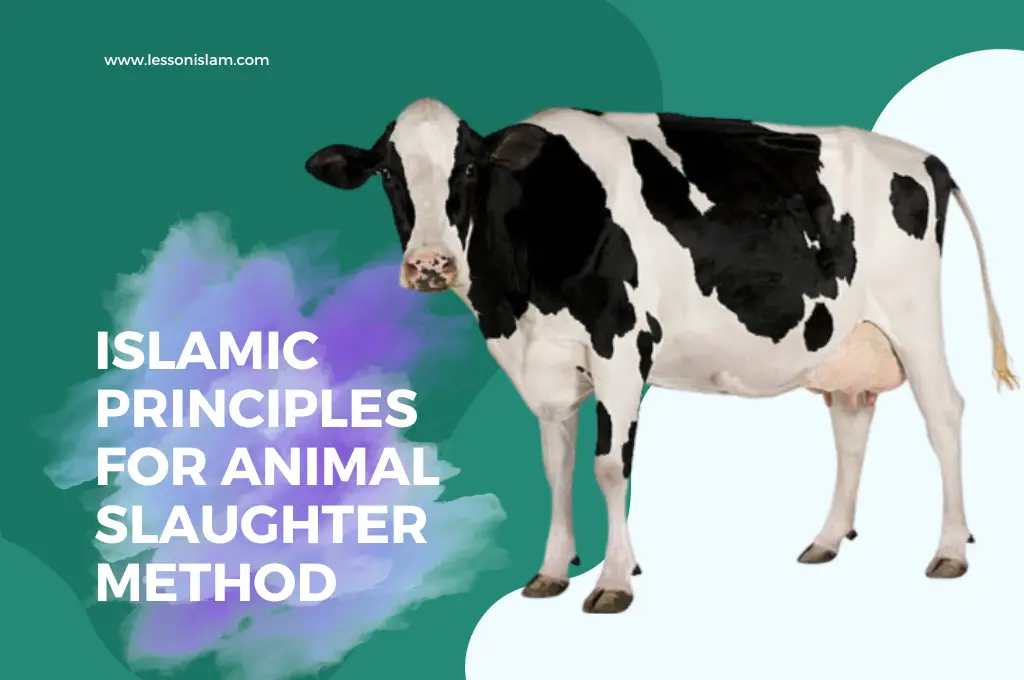 Understanding Islamic Principles for Animal Slaughter Method