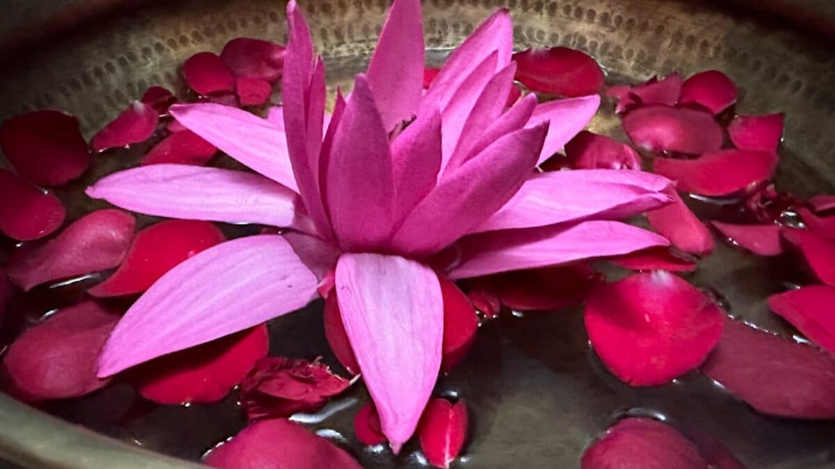 Duas for healing from illness